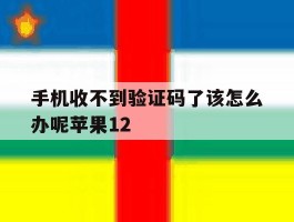 手机收不到验证码了该怎么办呢苹果12