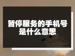 中国电信手机号码被暂停服务是怎么回事啊苹果