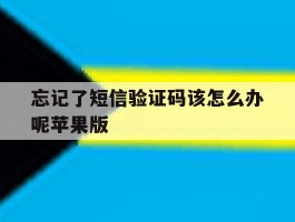 忘记了短信验证码该怎么办呢苹果版