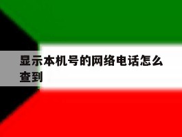 显示本机号的网络电话怎么查到