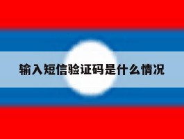 输入短信验证码是什么情况