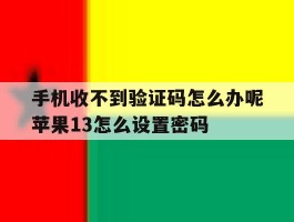 手机收不到验证码怎么办呢苹果13怎么设置密码