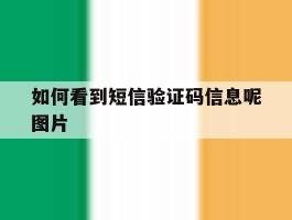 如何看到短信验证码信息呢图片