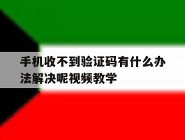 手机收不到验证码有什么办法解决呢视频教学
