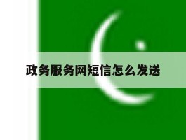 政务服务网短信怎么发送
