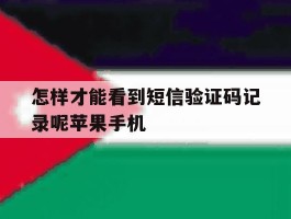 怎样才能看到短信验证码记录呢苹果手机