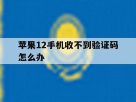 苹果12手机收不到验证码怎么办