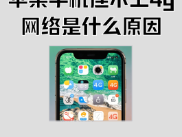 用4g网络打电话对方显示什么状态呢苹果