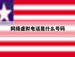 网络虚拟电话是什么号码