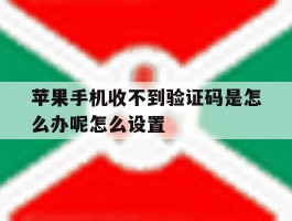 苹果手机收不到验证码是怎么办呢怎么设置