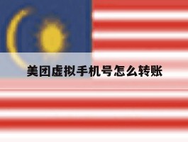 美团虚拟手机号怎么转账