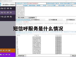 短信呼服务是什么情况