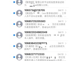 美国虚拟短信接收验证码是什么样的啊