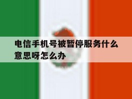 电信手机号被暂停服务什么意思呀怎么办