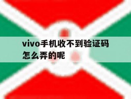 vivo手机收不到验证码怎么弄的呢
