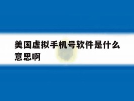 美国虚拟手机号软件是什么意思啊