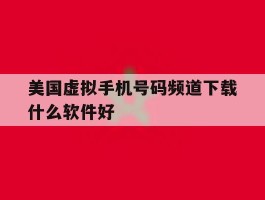 美国虚拟手机号码频道下载什么软件好