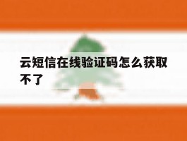 云短信在线验证码怎么获取不了
