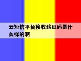 云短信平台接收验证码是什么样的啊