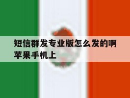 短信群发专业版怎么发的啊苹果手机上