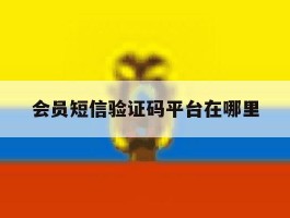 会员短信验证码平台在哪里