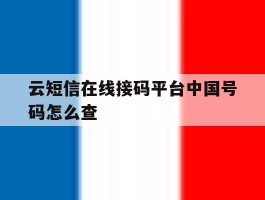云短信在线接码平台中国号码怎么查