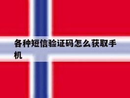 各种短信验证码怎么获取手机