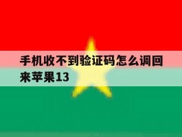 手机收不到验证码怎么调回来苹果13