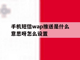 手机短信wap推送是什么意思呀怎么设置