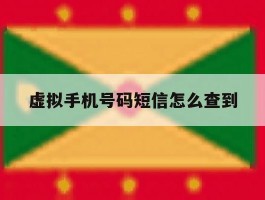 虚拟手机号码短信怎么查到
