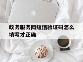 政务服务网短信验证码怎么填写才正确