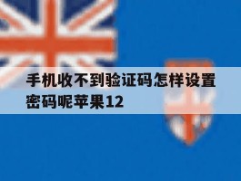 手机收不到验证码怎样设置密码呢苹果12