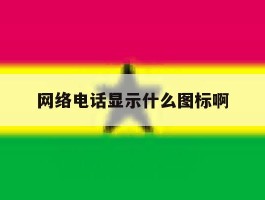 网络电话显示什么图标啊