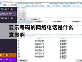 显示号码的网络电话是什么意思啊