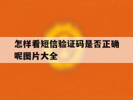 怎样看短信验证码是否正确呢图片大全