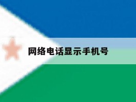 网络电话显示手机号