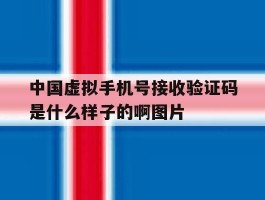 中国虚拟手机号接收验证码是什么样子的啊图片