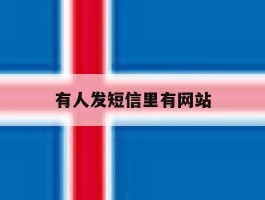 有人发短信里有网站
