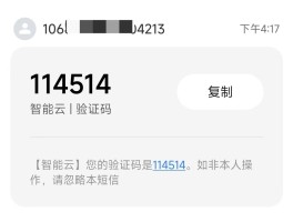 云在线短信验证码平台登录不上