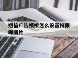 短信广告模板怎么设置权限呢图片