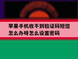 苹果手机收不到验证码短信怎么办呀怎么设置密码