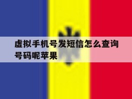 虚拟手机号发短信怎么查询号码呢苹果