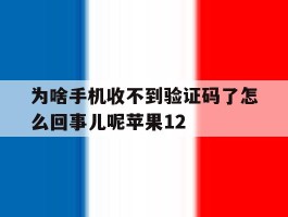 为啥手机收不到验证码了怎么回事儿呢苹果12