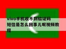 vivo手机收不到验证码短信是怎么回事儿呢视频教程