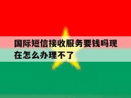 国际短信接收服务要钱吗现在怎么办理不了