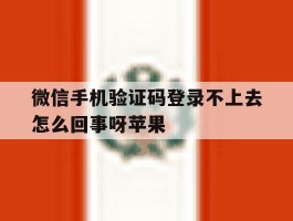 微信手机验证码登录不上去怎么回事呀苹果