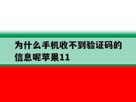 为什么手机收不到验证码的信息呢苹果11