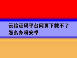 云验证码平台网页下载不了怎么办呀安卓