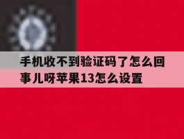 手机收不到验证码了怎么回事儿呀苹果13怎么设置