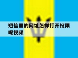 短信里的网址怎样打开权限呢视频